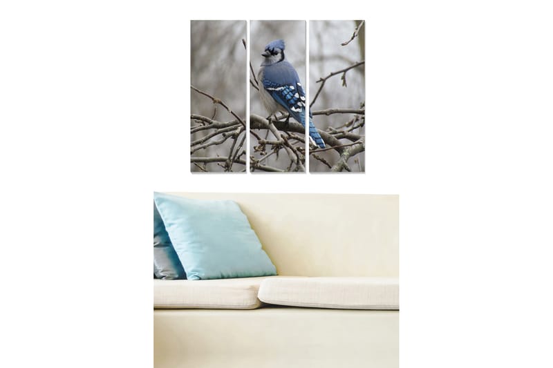 Tavla Animal 3-Pack Flerfärgad 20X50 - 20x50 cm - Inredning & dekor - Tavlor & konst - Canvastavla