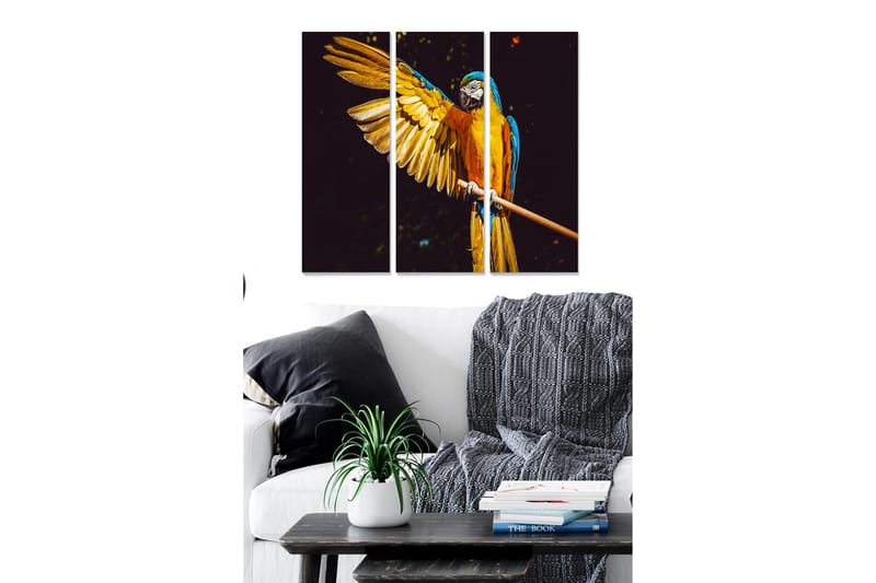 Tavla Animal 3-Pack Flerfärgad 20X50 - 20x50 cm - Inredning & dekor - Tavlor & konst - Canvastavla