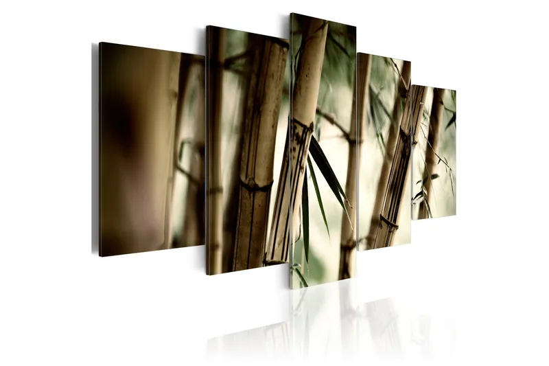 Tavla Asian Bamboo Forest 200x100, Artgeist sp. z o. o.