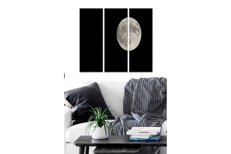Tavla Astrology 3-Pack Flerfärgad 20X50 - 20x50 cm - Inredning & dekor - Tavlor & konst - Canvastavla
