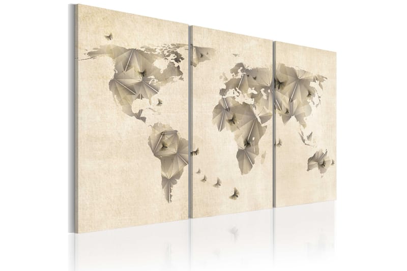 Tavla Atlas Of Fjärilar Triptych 60X40 Beige - Artgeist sp. z o. o. - Inredning & dekor - Tavlor & konst - Canvastavla