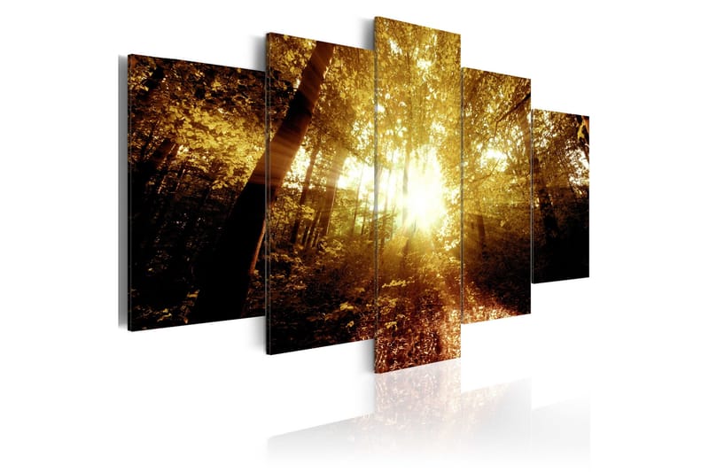 Tavla Autumn Forest 200x100, Artgeist sp. z o. o.