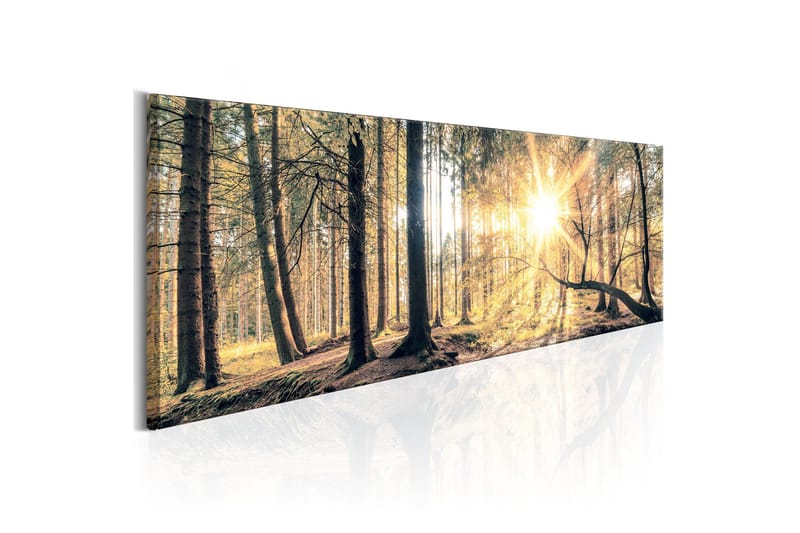 Tavla Autumn Retreat 120x40 cm