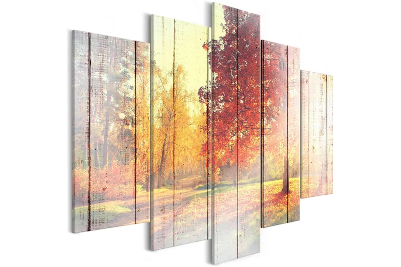 Tavla Autumn Sun 5 Parts Wide 100x50, Artgeist sp. z o. o.