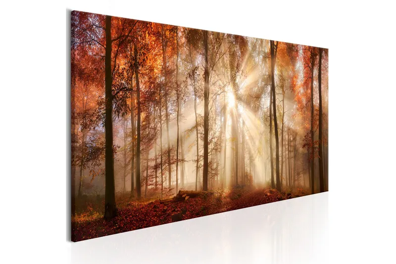 Tavla Autumnal Dawn 120x40, Artgeist sp. z o. o.