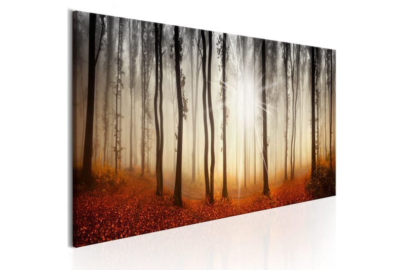 Tavla Autumnal Fog 150x50, Artgeist sp. z o. o.