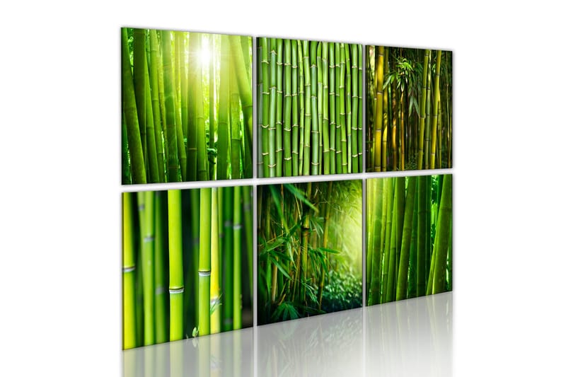 Tavla Bamboo Has Many Faces 120x80, Artgeist sp. z o. o.