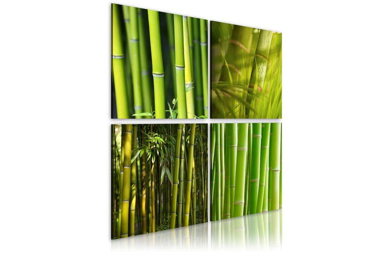 Tavla Bambu 80X80 Grön|Beige - Artgeist sp. z o. o. - Inredning & dekor - Tavlor & konst - Canvastavla