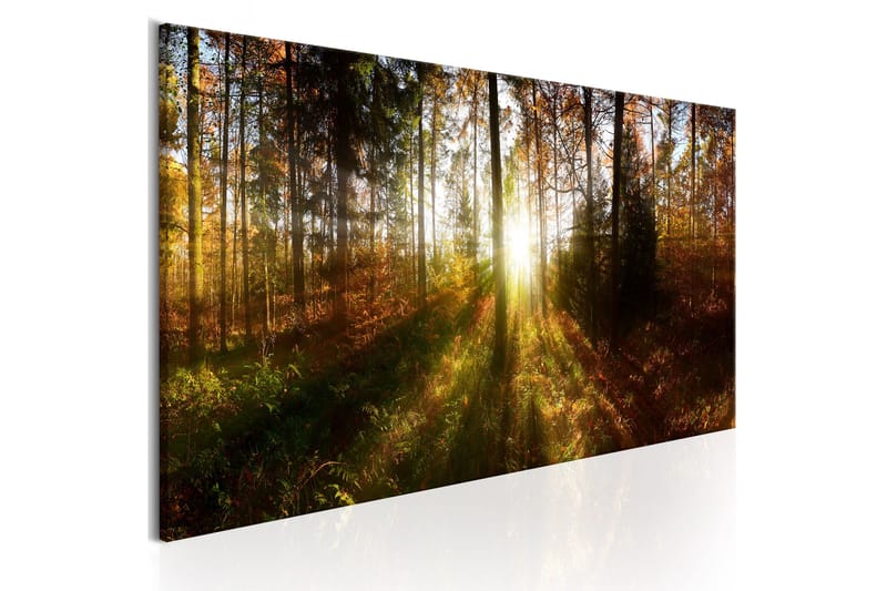 Tavla Beautiful Forest 135x45 - Artgeist sp. z o. o. - Inredning & dekor - Tavlor & konst - Canvastavla