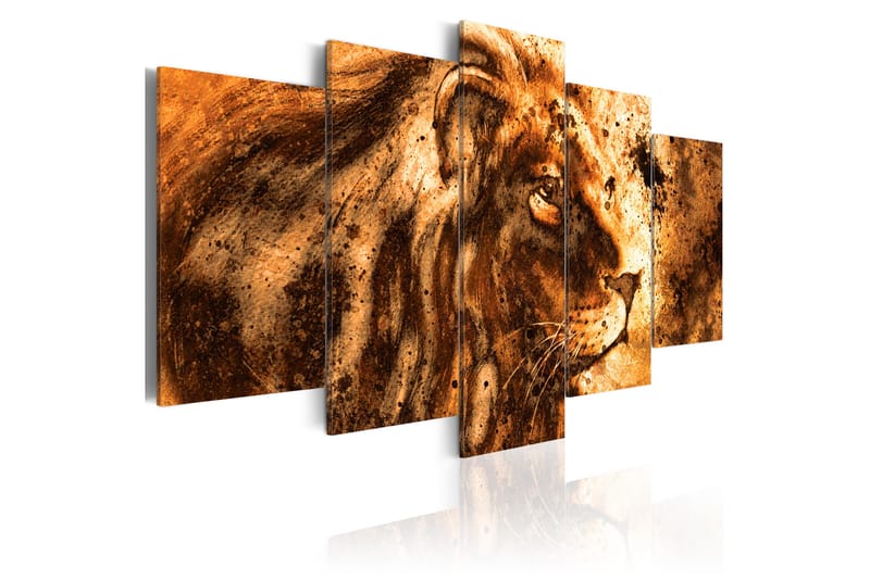 Tavla Beautiful Lion 100X50 Orange|Brun - Artgeist sp. z o. o. - Canvastavla