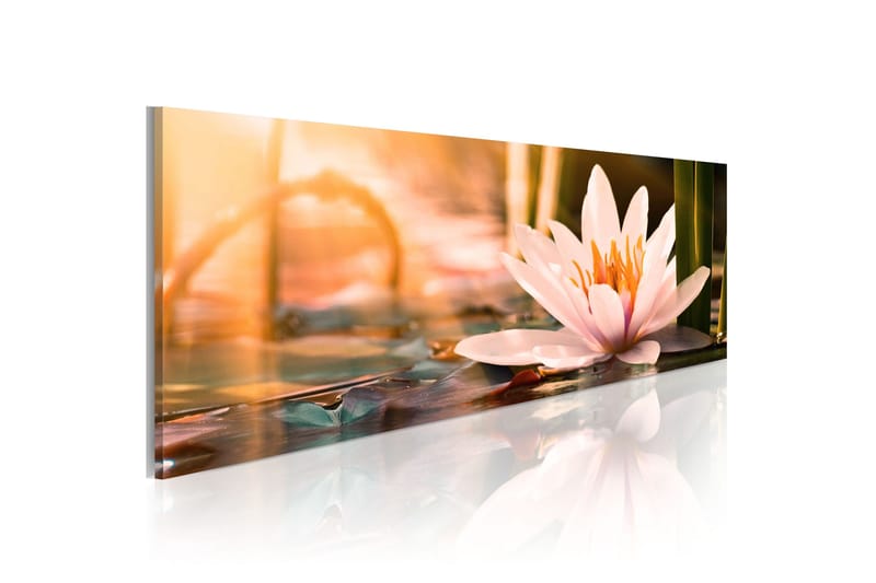 Tavla Beautiful Lotus 150x50, Artgeist sp. z o. o.