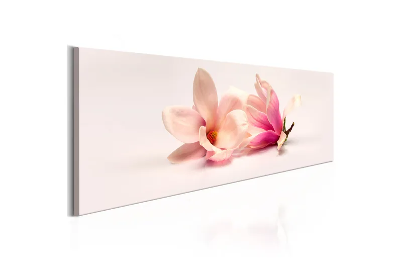 Tavla Beautiful Magnolias 150X50 Rosa, Artgeist sp. z o. o.