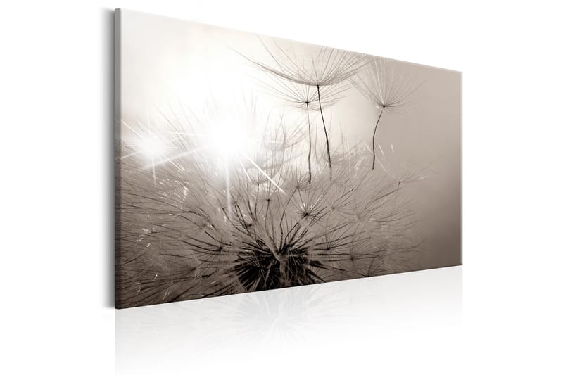 TAVLA Beautiful Summer: Dandelions 90x60 - Artgeist sp. z o. o. - Inredning & dekor - Tavlor & konst - Canvastavla