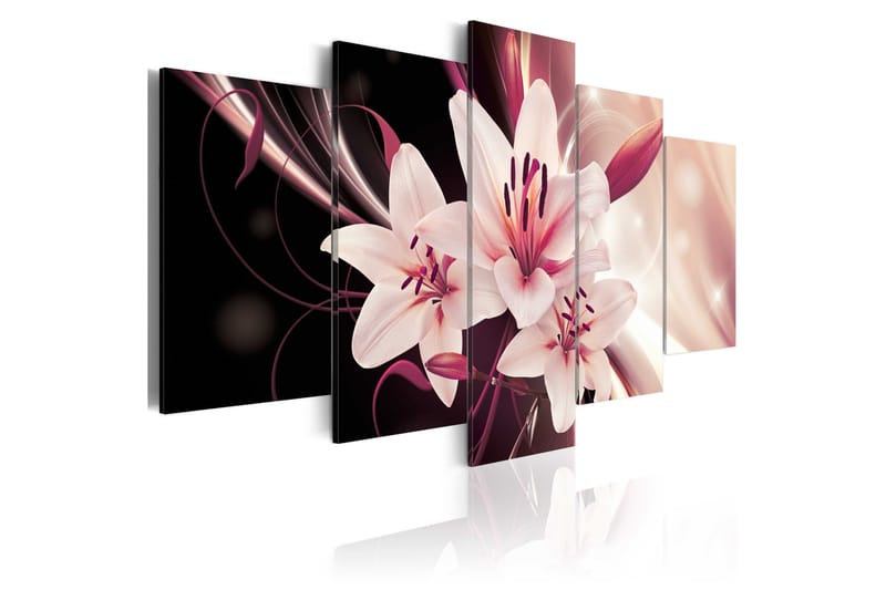 Tavla Beauty Mystery 100x50 - Artgeist sp. z o. o. - Inredning & dekor - Tavlor & konst - Canvastavla