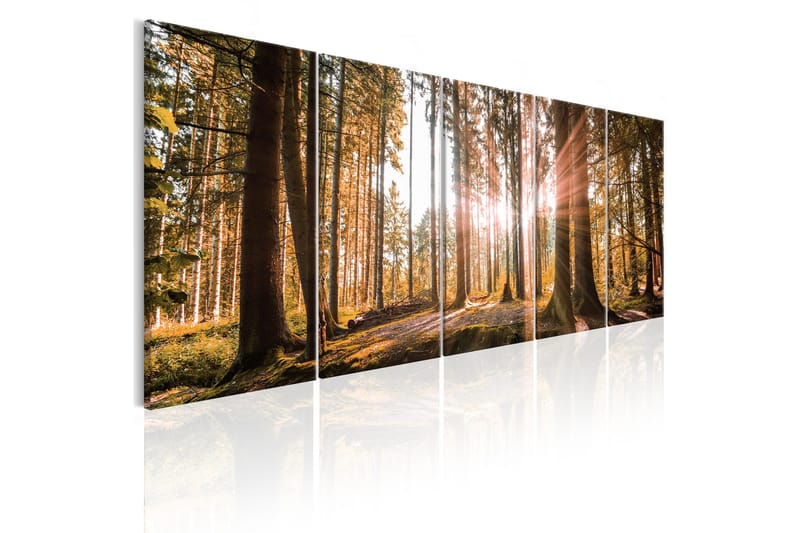 Tavla Beauty Of Nature 225x90 - Artgeist sp. z o. o. - Inredning & dekor - Tavlor & konst - Canvastavla