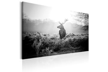 Tavla Black and White Deer 90x60 - Artgeist sp. z o. o. - Inredning & dekor - Tavlor & konst - Canvastavla