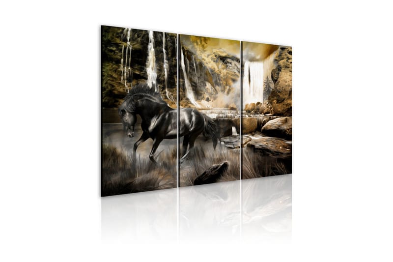 Tavla Black Horse And Rocky Waterfall 60x40, Artgeist sp. z o. o.