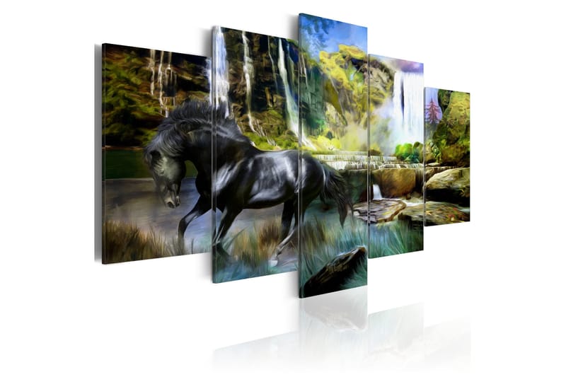 Tavla Black Horse Background Of Paradise Waterfall 100x50, Artgeist sp. z o. o.