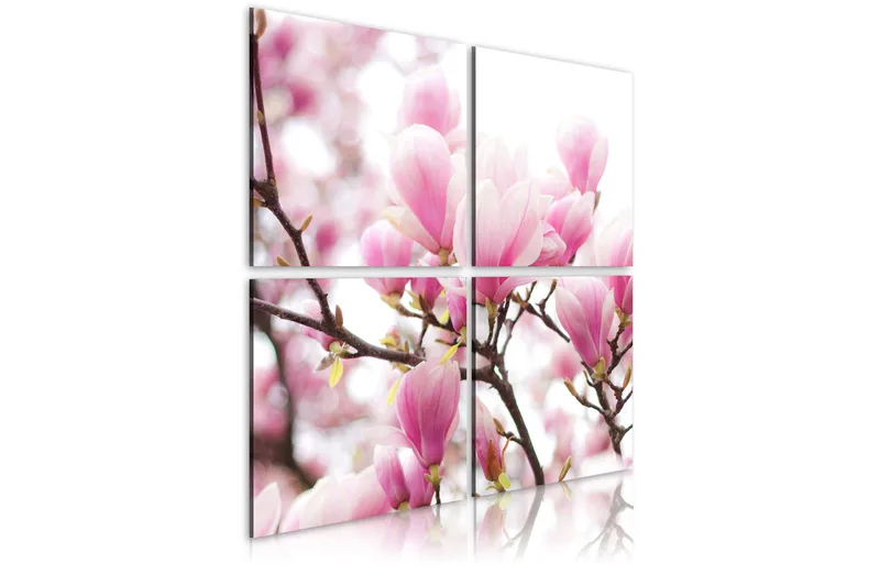 Tavla Blommande Magnolia Träd 80x80, Artgeist sp. z o. o.