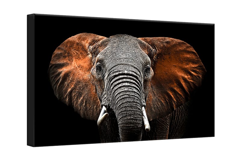 TAVLA Canvas Silver Red Elephant 75x100 - Canvastavla