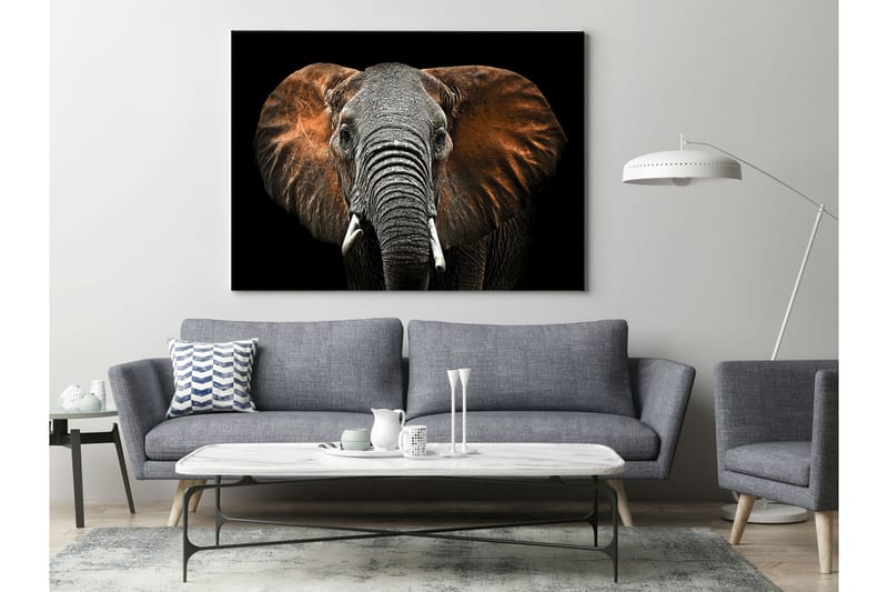 TAVLA Canvas Silver Red Elephant 75x100 - Canvastavla