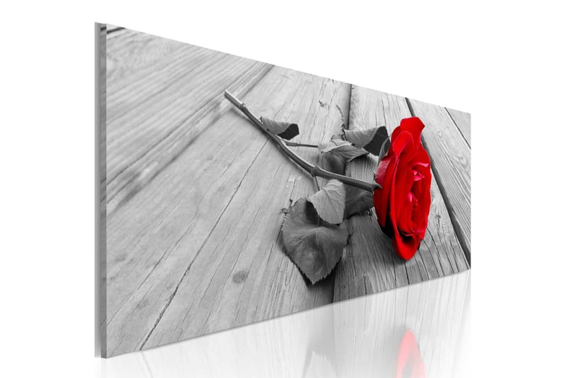 Tavla Carmine Rose 120X40 Grå|Vit, Artgeist sp. z o. o.