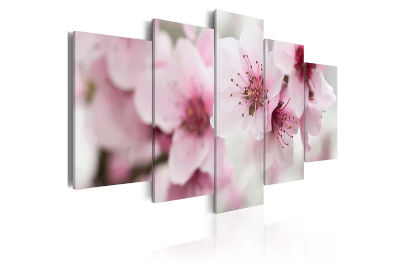 Tavla Cherry- Gentleness And Beauty 200X100 Rosa - Artgeist sp. z o. o. - Inredning & dekor - Tavlor & konst - Canvastavla