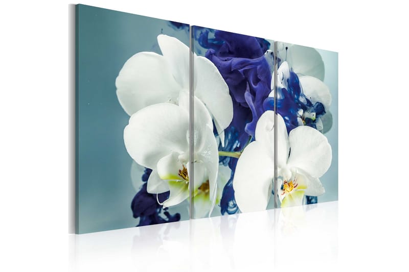 Tavla Chimär Orkidéer 120x80 - Artgeist sp. z o. o. - Inredning & dekor - Tavlor & konst - Canvastavla