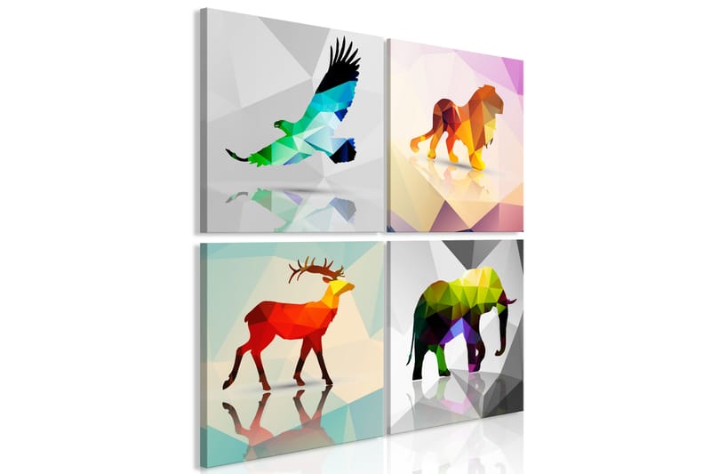 Tavla Colourful Animals 4 Parts 40X40 Flerfärgad|Vit, Artgeist sp. z o. o.