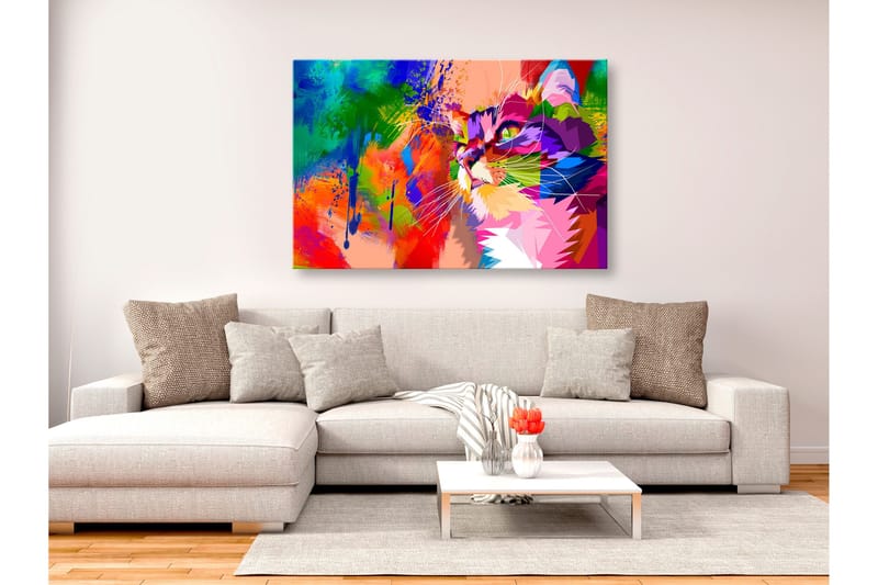 Tavla Colourful Cat (1 Part) Wide 90x60, Artgeist sp. z o. o.