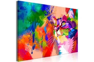 Tavla Colourful Cat (1 Part) Wide 90x60 - Artgeist sp. z o. o. - Inredning & dekor - Tavlor & konst - Canvastavla