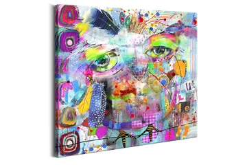 Tavla Colourful Owl 40x40 - Artgeist sp. z o. o. - Inredning & dekor - Tavlor & konst - Canvastavla