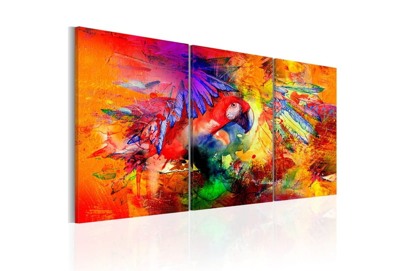 TAVLA Colourful Parrot 60x30 - Artgeist sp. z o. o. - Inredning & dekor - Tavlor & konst - Canvastavla