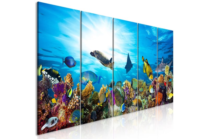 Tavla Coral Reef (5 Parts) Narrow 225x90 - Artgeist sp. z o. o. - Inredning & dekor - Tavlor & konst - Canvastavla
