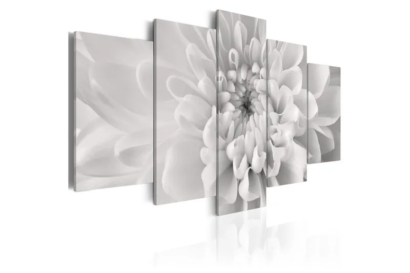 Tavla Dahlia Flower In Grey Shades 100x50, Artgeist sp. z o. o.