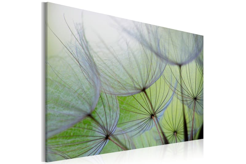 Tavla Dandelion in the wind 120x80, Artgeist sp. z o. o.