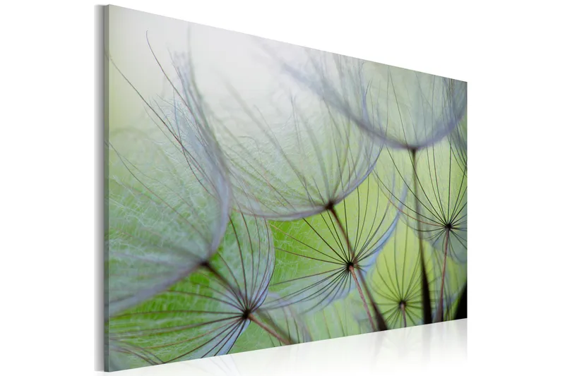 Tavla Dandelion In The Wind 60X40 Grön, Artgeist sp. z o. o.