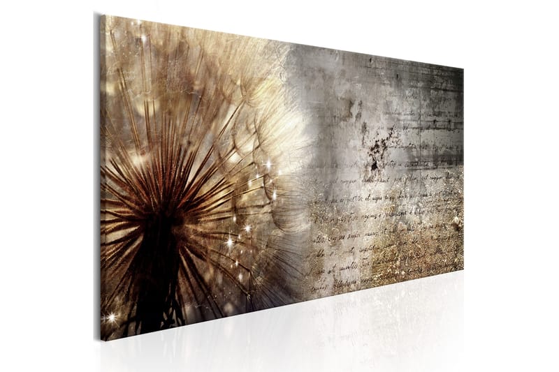 Tavla Dandelion On Concrete 150X50 Brun - Artgeist sp. z o. o. - Inredning & dekor - Tavlor & konst - Canvastavla