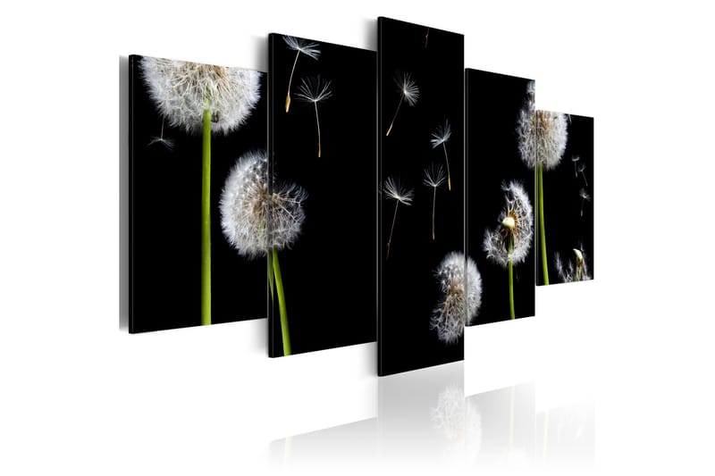 Tavla Dandelion- Towards Freedom 200X100 Vit|Svart, Artgeist sp. z o. o.