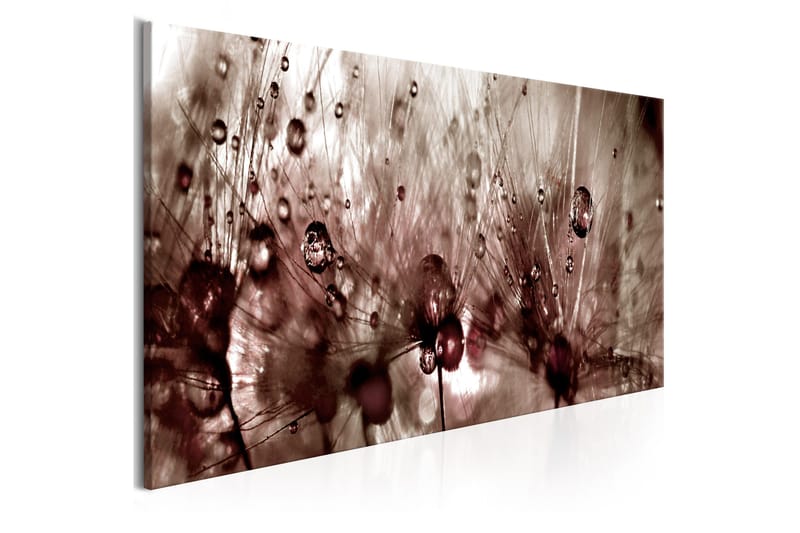 Tavla Dandelions After Rain 120x40, Artgeist sp. z o. o.