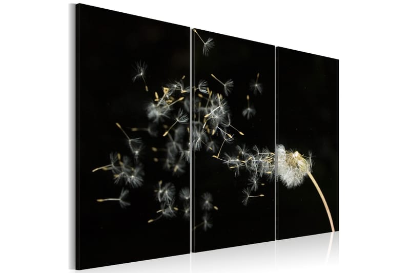 Tavla Dandelions- The Transience 60x40, Artgeist sp. z o. o.