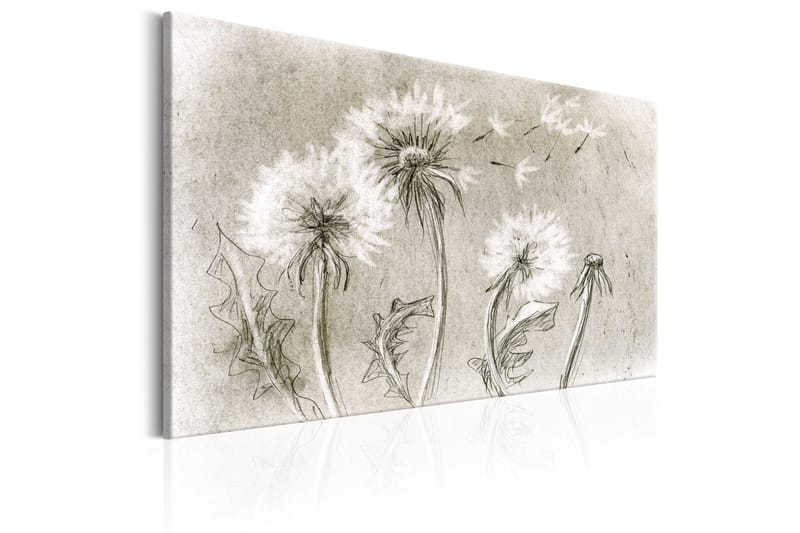 Tavla Dandelions (Pencil Artwork) 120x80 - Artgeist sp. z o. o. - Inredning & dekor - Tavlor & konst - Canvastavla