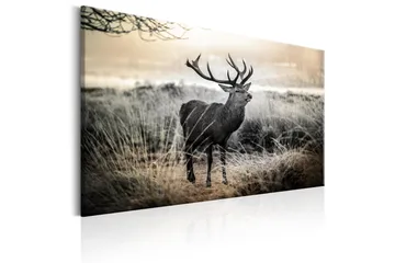 Tavla Dangerous Horns 120x80 - Artgeist sp. z o. o. - Inredning & dekor - Tavlor & konst - Canvastavla