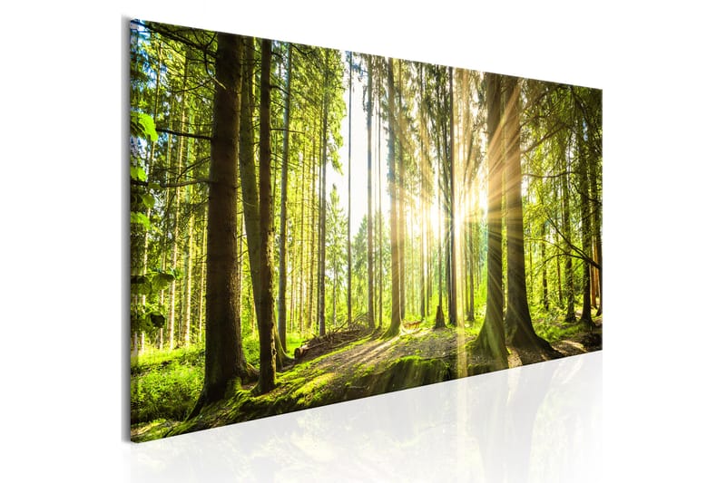 Tavla Daylight 120X40 Grön|Vit - Artgeist sp. z o. o. - Inredning & dekor - Tavlor & konst - Canvastavla