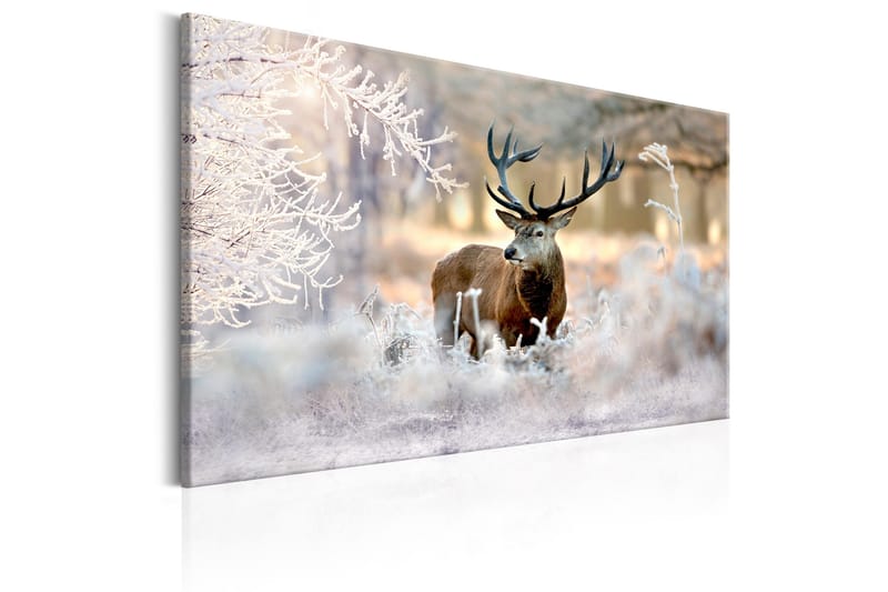 Tavla Deer In The Cold 120x80, Artgeist sp. z o. o.