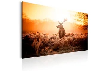 Tavla Deer in the Sun 90x60 - Artgeist sp. z o. o. - Inredning & dekor - Tavlor & konst - Canvastavla