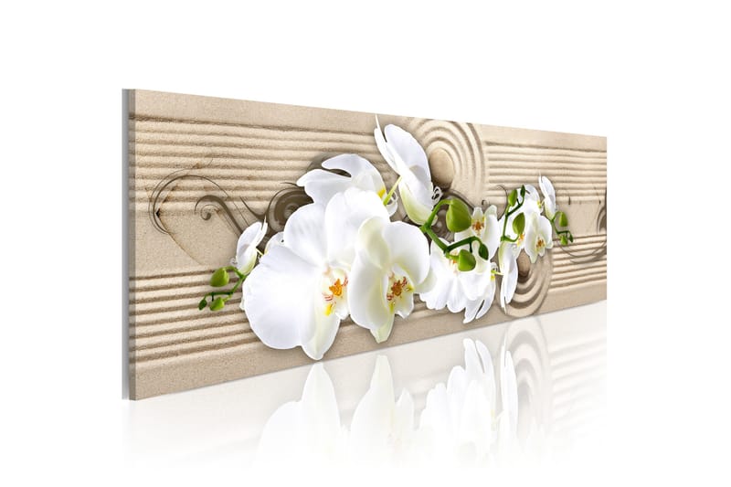 Tavla Desert Flower 135x45, Artgeist sp. z o. o.