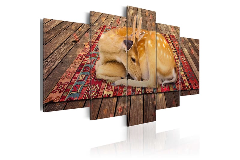 Tavla Domestication 5 Pieces 100x50, Artgeist sp. z o. o.