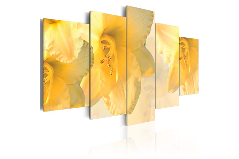Tavla Dream Lilies 200x100, Artgeist sp. z o. o.
