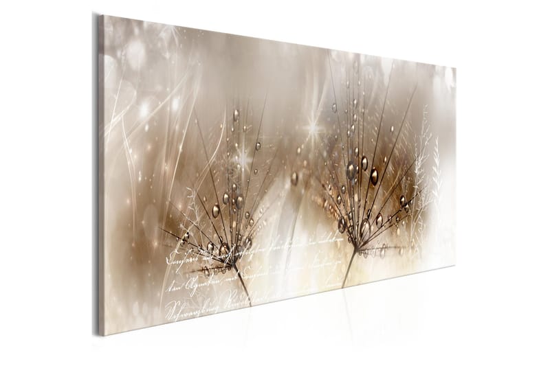 Tavla Drops Of Dew 1 Part Brown Narrow 120x40, Artgeist sp. z o. o.